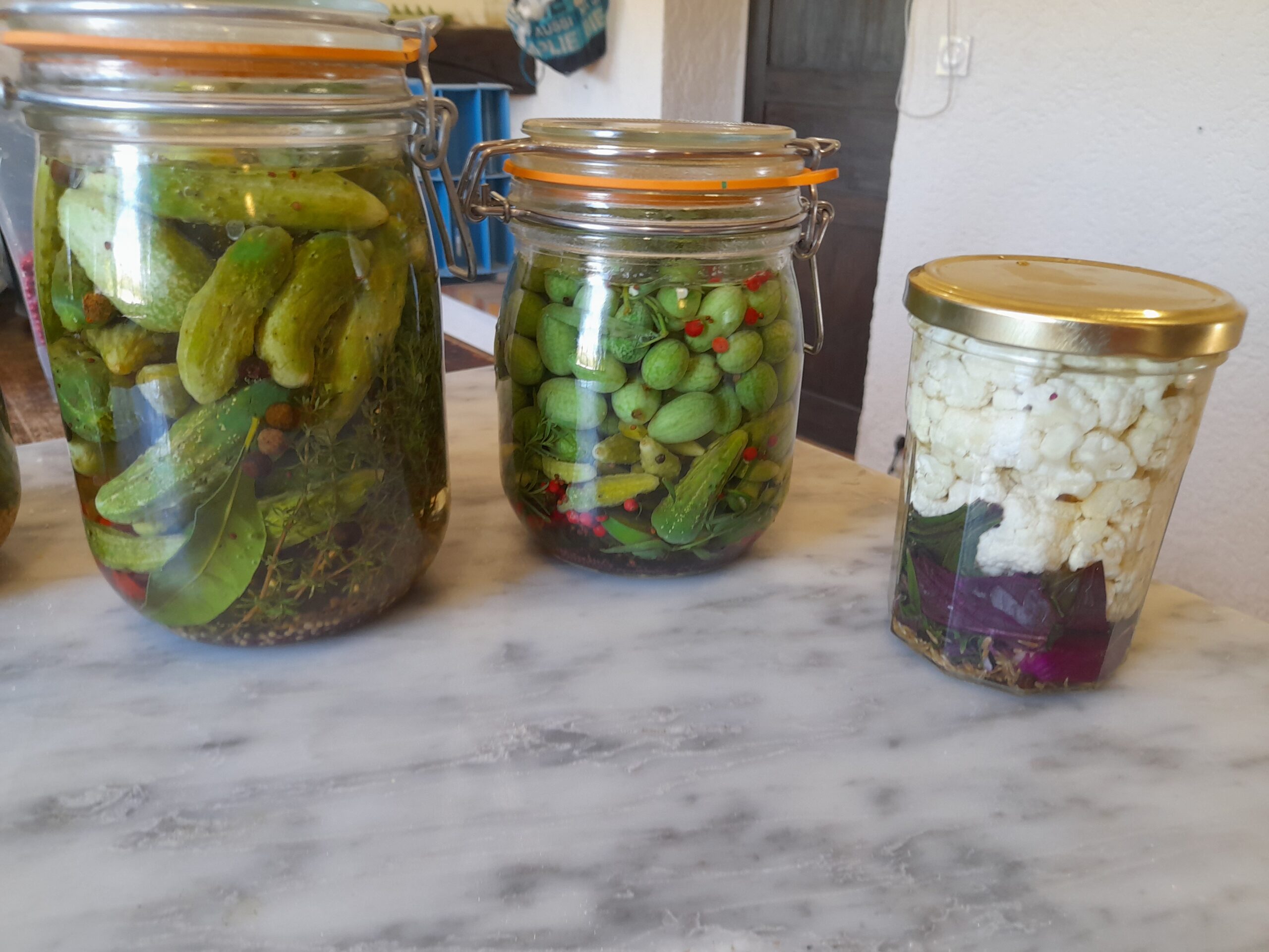 Les cornichons au vinaigre & Les cornichons au sel Panda's table